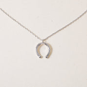 Horseshoe Luck, Necklace