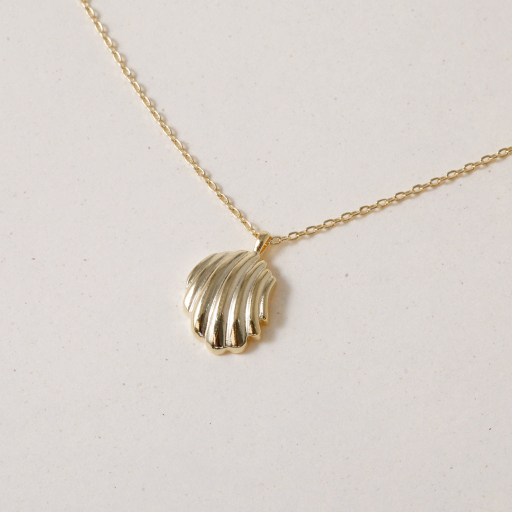 Tiny Shell, Big Style Necklace