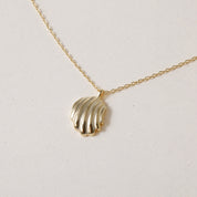 Tiny Shell, Big Style Necklace