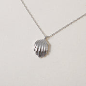 Tiny Shell, Big Style Necklace