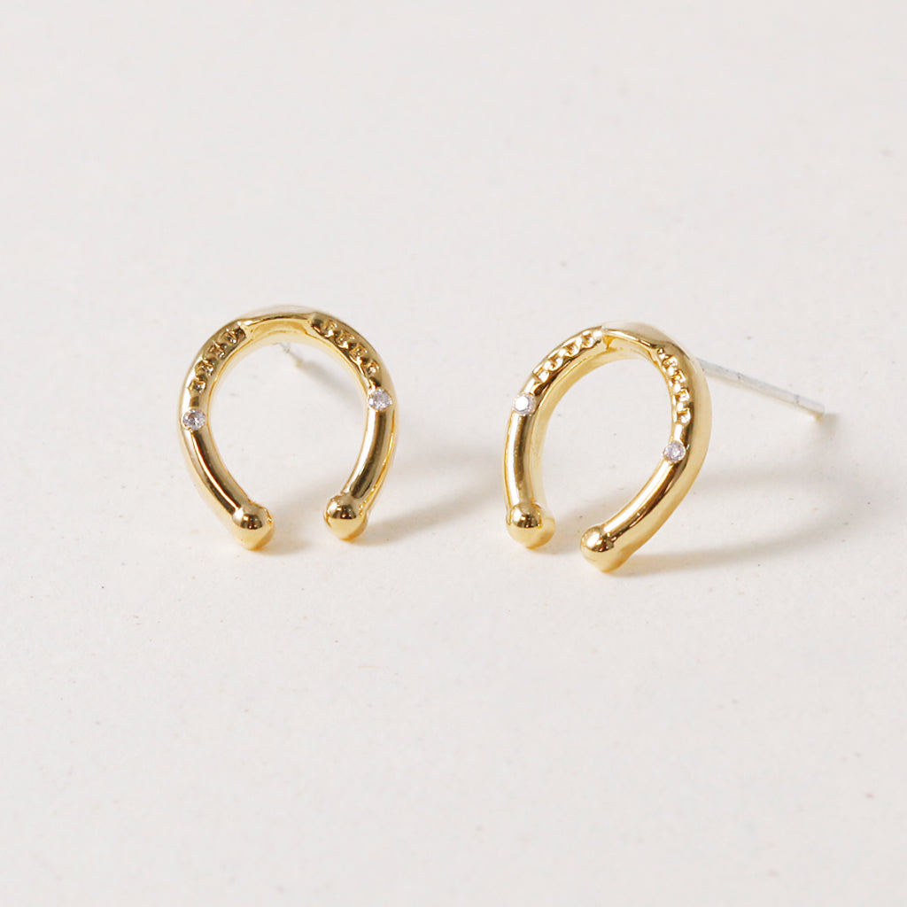 Horseshoe Luck, Earring