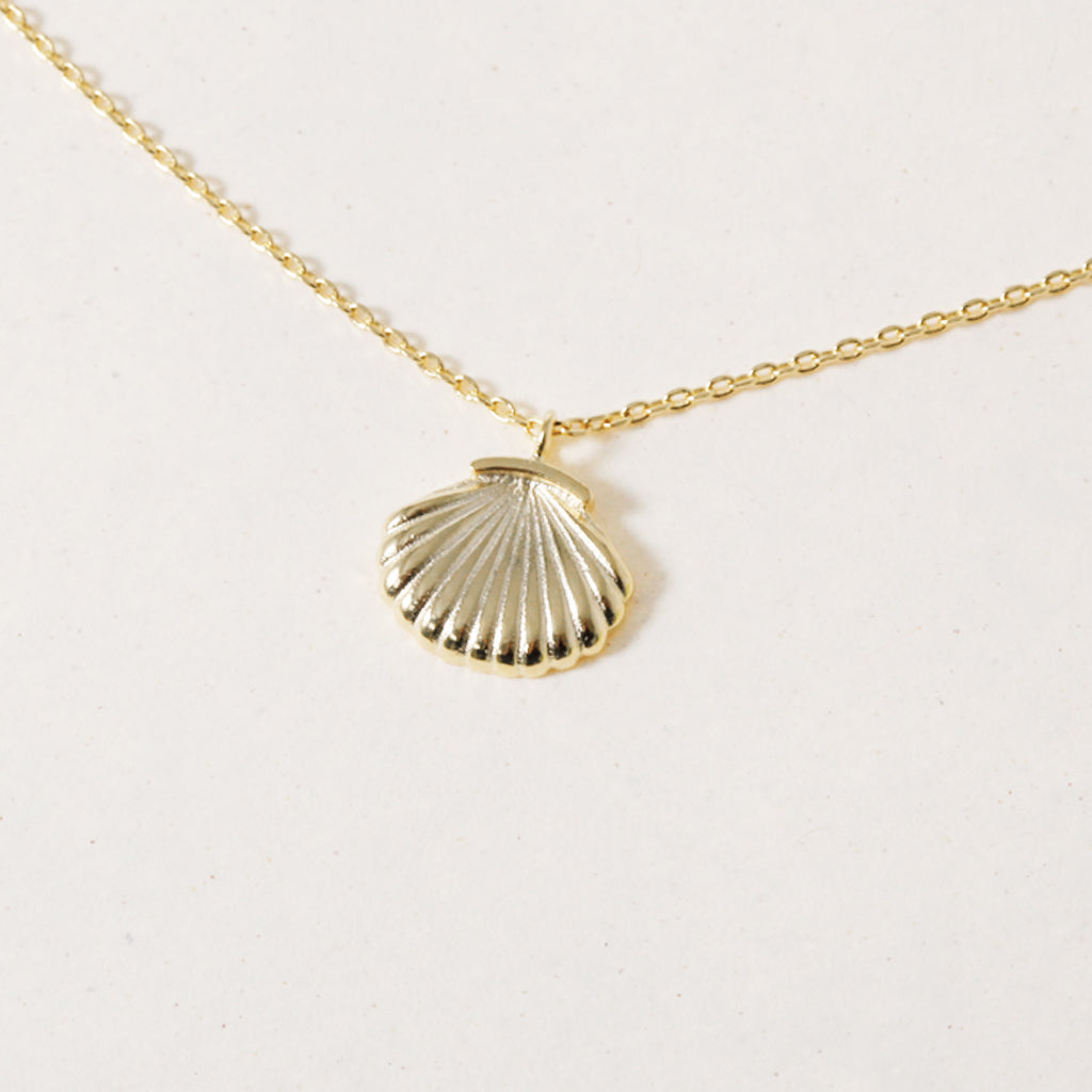 Story Shell-ER, Necklace