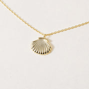 Story Shell-ER, Necklace
