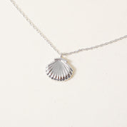 Story Shell-ER, Necklace