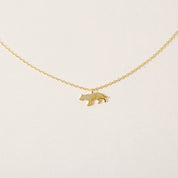 Alpha Energy, Necklace