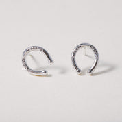 Horseshoe Luck, Earring