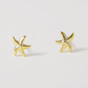 Star of the Sea, Earrings