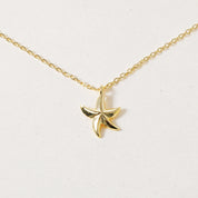 Star of the Sea, Necklace