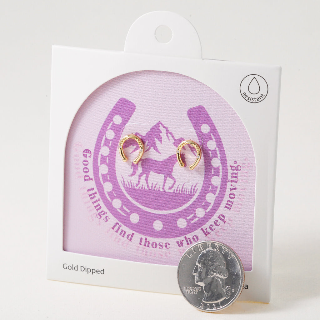 Horseshoe Luck, Earring