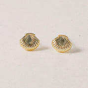 Story SHELL-ER, Earrings