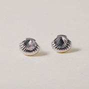 Story SHELL-ER, Earrings