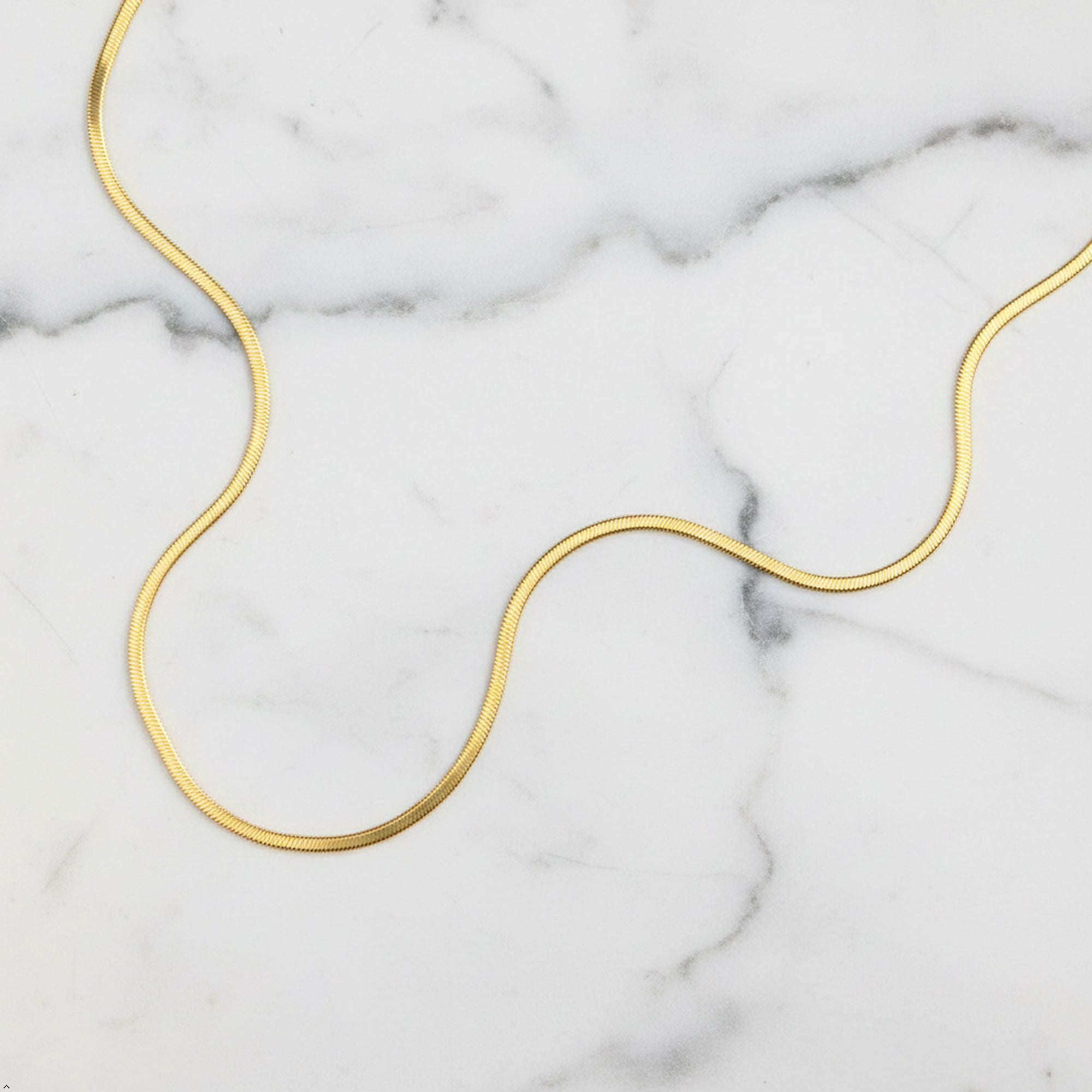 18K Gold Dipped Silky Snake Contour Chain Necklace