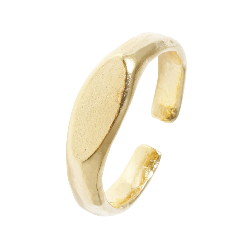 Molten Glow Band Signet Ring - 18K Gold Dipped, White Gold Dipped